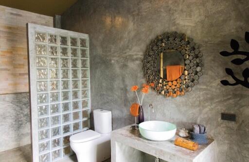 Modern bathroom with concrete finish, frosted glass wall, and unique decor