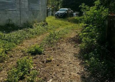 Exterior of a building with a visible dirt path and vegetation