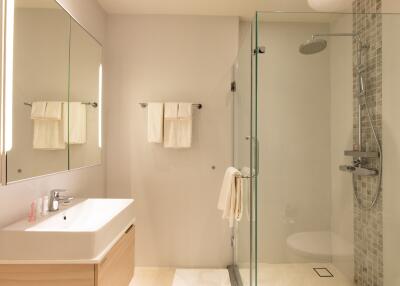 Modern bathroom with a glass shower, white sink, and large mirror