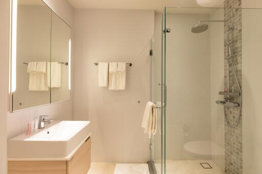 Modern bathroom with a glass shower, white sink, and large mirror