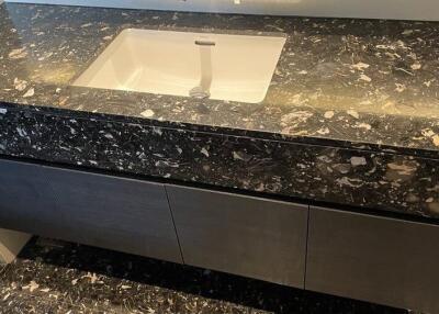Modern bathroom sink with granite countertop