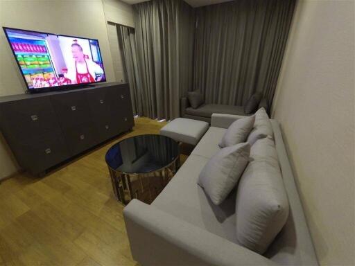 Modern living room with gray furniture and a TV