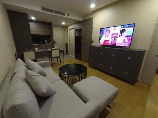 Modern living room with a gray sofa, flat-screen TV, and a kitchenette