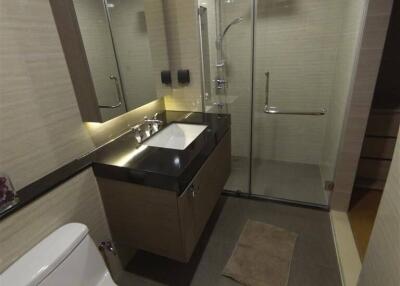 Modern bathroom with shower enclosure, vanity sink, and toilet