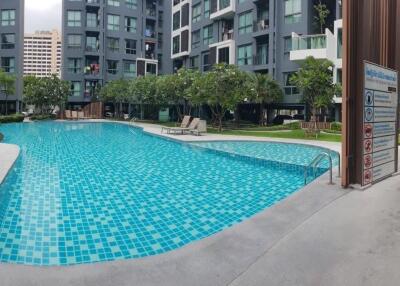 Condominium swimming pool with surrounding garden area