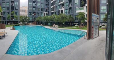 Condominium swimming pool with surrounding garden area