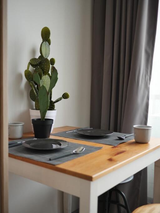 Small dining area with a table set for two and a potted cactus