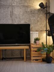 Modern living room with television and indoor plant