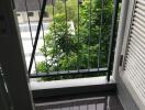 Balcony with railing overlooking trees