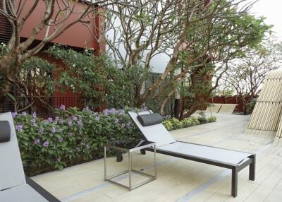 Outdoor patio area with lounge chairs and greenery