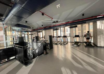 Modern gym with natural lighting and workout equipment