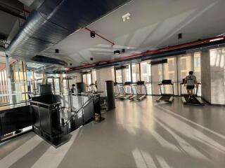 Modern gym with natural lighting and workout equipment