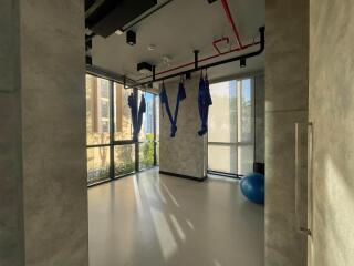 A well-lit fitness room with aerial yoga hammocks and exercise ball