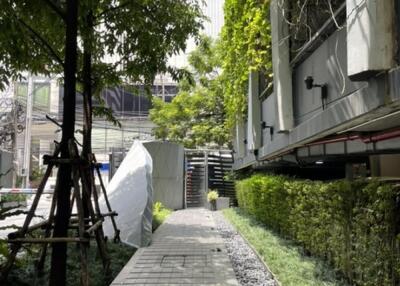 Outdoor pathway with greenery and building