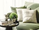 Cozy living room corner with green sofa, white pillows, potted plant, and decorative books.