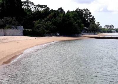 Secluded Beach Area with Nearby Buildings and Trees