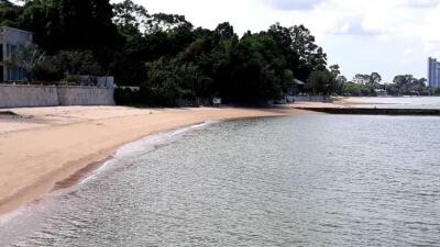 Secluded Beach Area with Nearby Buildings and Trees