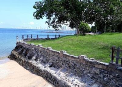 Beachfront property with a stone retaining wall, grassy lawn, and lush trees
