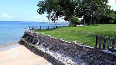 Beachfront property with a stone retaining wall, grassy lawn, and lush trees