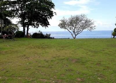 View of the lawn leading to a seaside with trees and a clear sky