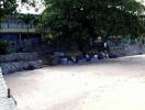 Beachfront property with large trees and a building in the background