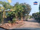 Street view with trees, houses, and contact information, provided by Inter Real Estate