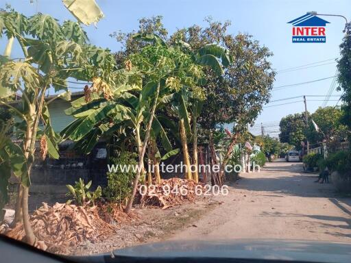 Street view with trees, houses, and contact information, provided by Inter Real Estate