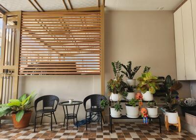 Outdoor patio with seating area and plants