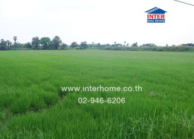 Open green field with contact details