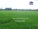 Open green field with contact details