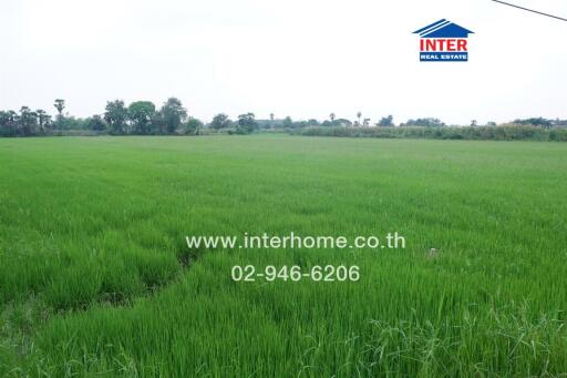 Open green field with contact details