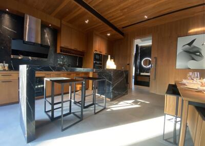 Modern kitchen with island and wooden cabinets