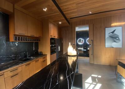 Modern kitchen with wooden cabinets and black marble countertops