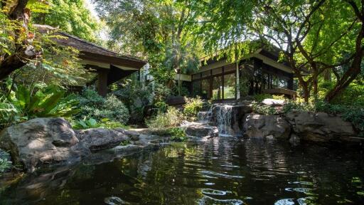 Beautiful garden with a pond and waterfall