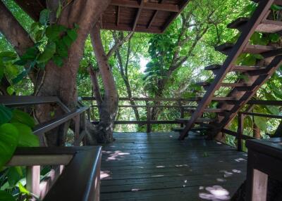 Treehouse balcony with stairway