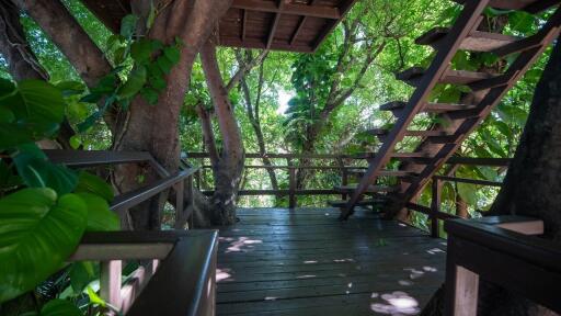 Treehouse balcony with stairway