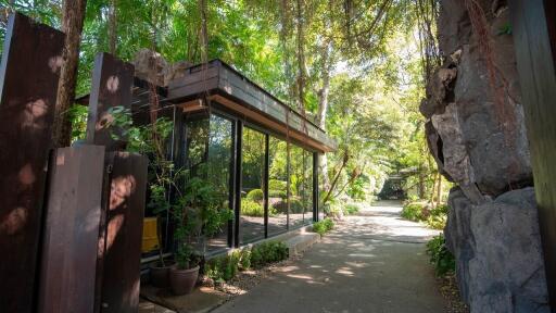 Exterior view of a modern glass-walled house surrounded by lush greenery