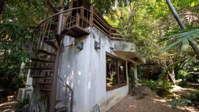 Exterior view of a treehouse surrounded by greenery