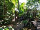 A lush, tropical garden with various trees and plants, a small pond, and a stone pathway