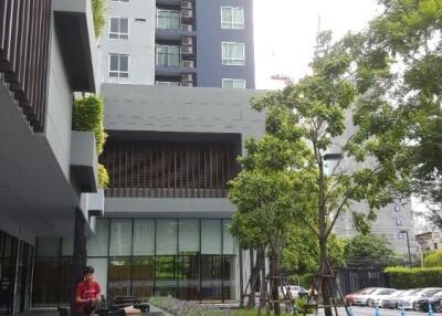 Exterior view of modern building with greenery