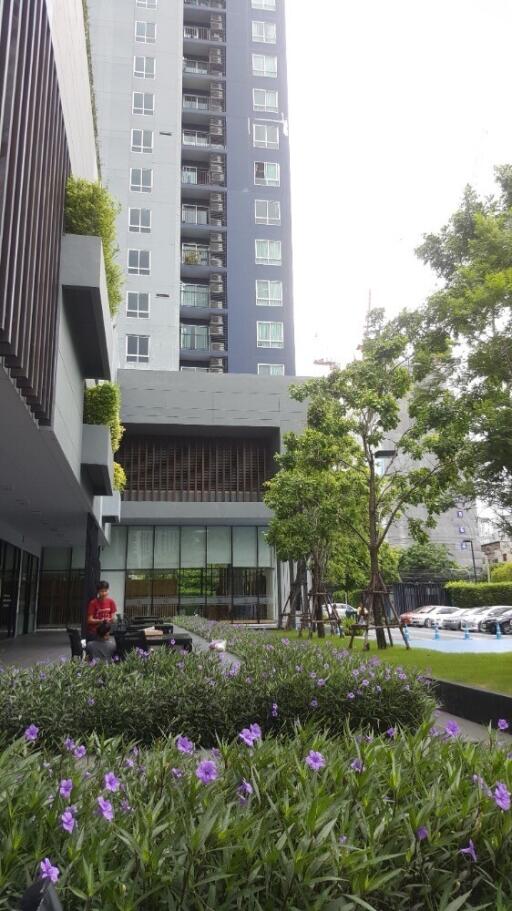 Exterior view of modern building with greenery