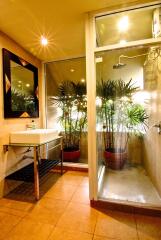 Well-lit bathroom with glass shower and plants