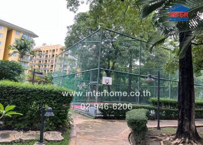 Outdoor basketball court surrounded by greenery