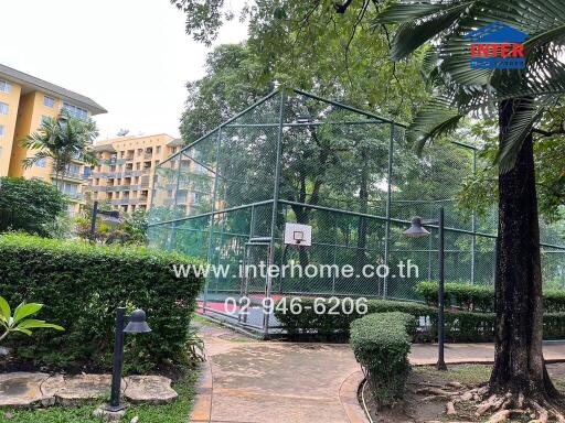 Outdoor basketball court surrounded by greenery