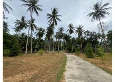 บ้านเดี่ยวสวยหลังใหญ่ บนที่ดินขนาด 2-3-10 ไร่ ในอำเภอขนอม