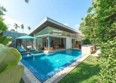 Modern house with swimming pool and garden