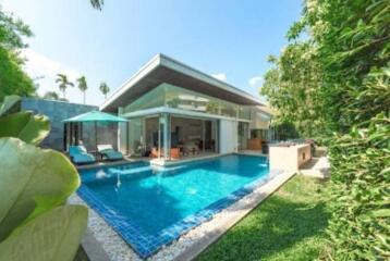 Modern house with swimming pool and garden