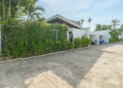 Exterior view of a modern house with driveway and green plants