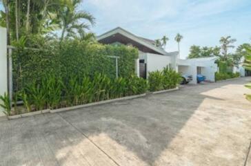 Exterior view of a modern house with driveway and green plants