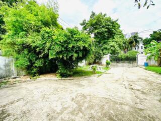 Spacious outdoor area with lush greenery and driveway